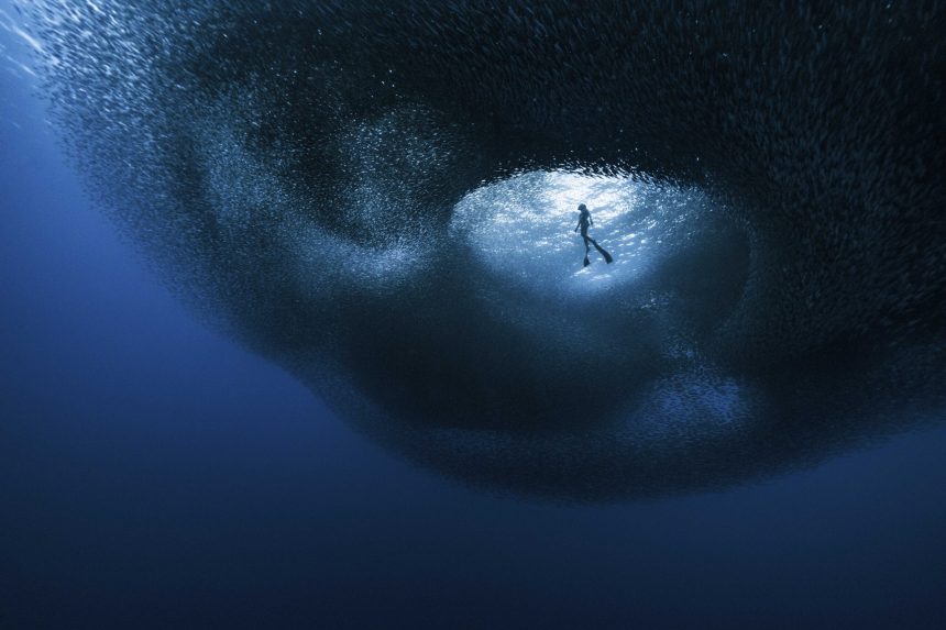 The Ocean Photographer of the Year Finalists Highlight the Sorrowful and Sublime — Colossal