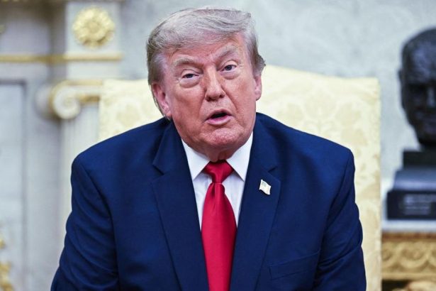 Trump Calls Nonprofit ‘TREASONISTS’ After Blocking White House Ballroom