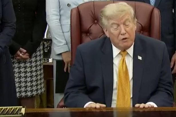 Trump Has A Complete Cognitive Meltdown In Front Of Reporters Over Reflecting Pool
