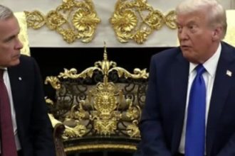 Trump Is About To Lose A Trade War With Canada