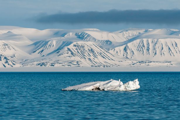Trump administration pulls support for annual Arctic environmental report