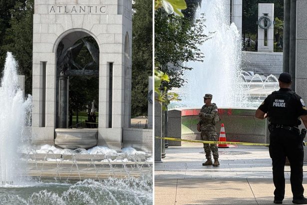 Vandals deface World War II memorial fountain with bubble soap, red graffiti in ‘deranged’ attack on DC landmark