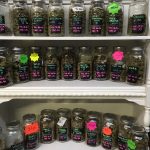 What Happens To The Body With Regular Cannabis Use? A Doctor Explains