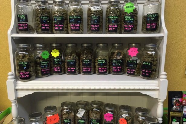 What Happens To The Body With Regular Cannabis Use? A Doctor Explains