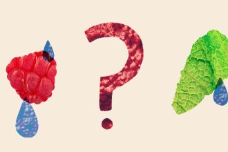 Who’s most at risk in the cyclospora outbreak?
