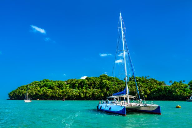 How to Choose the Right Catamaran for Sale: A Buyer’s Guide