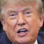 Canada Trolls Trump With 'Uniquely Canadian Message' On New Border Signs: 'Sorry!'