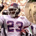 Ex-NFLer LeShon Johnson sentenced to five years for dog-fighting operation