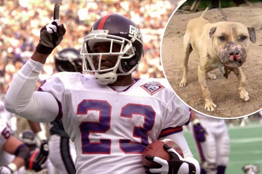Ex-NFLer LeShon Johnson sentenced to five years for dog-fighting operation