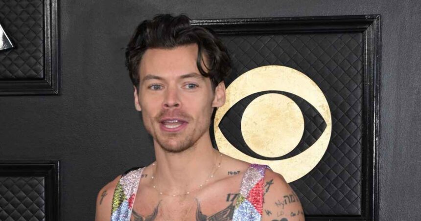 Harry Styles Hints at Taking Another Break When Tour Ends